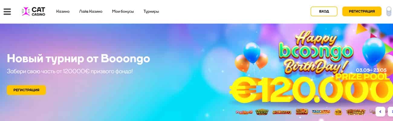 обзор игры на деньги в casino cat